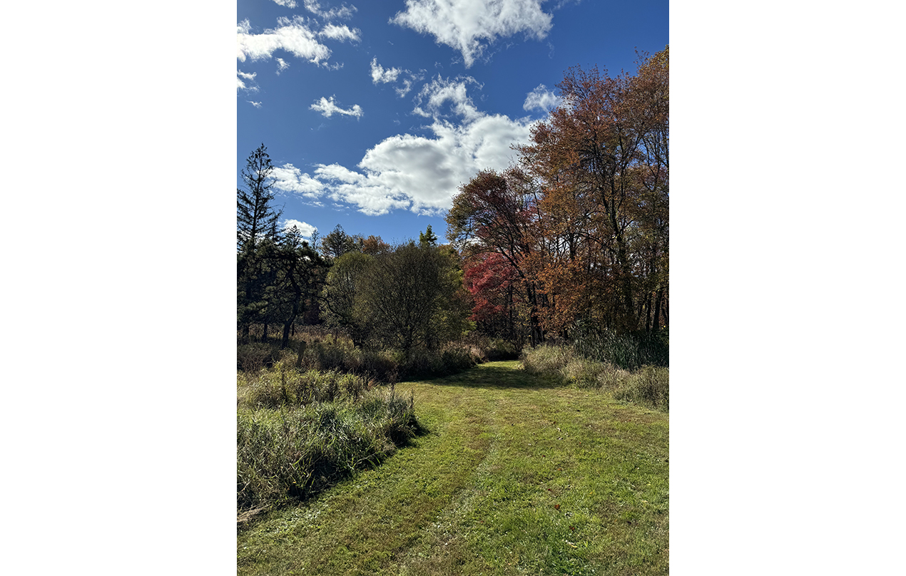 Image for Graver Arboretum of Muhlenberg College - Come visit and walk our trails. (Physical)