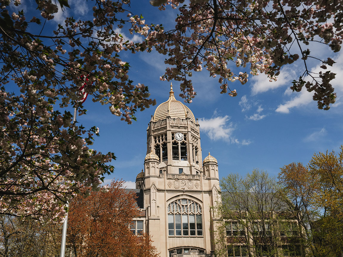 A college building with a clock tower framed by blooming trees