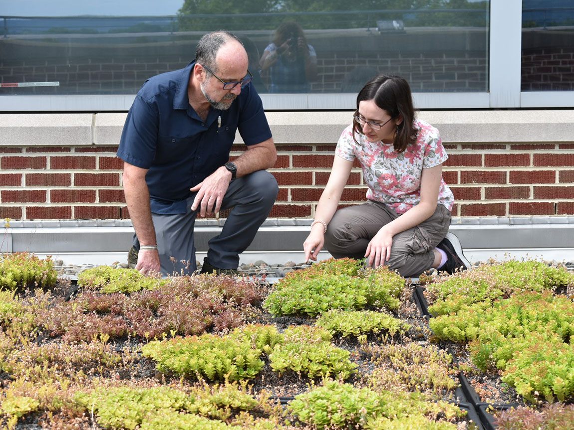 A college professor and a student examine plants on a green roof